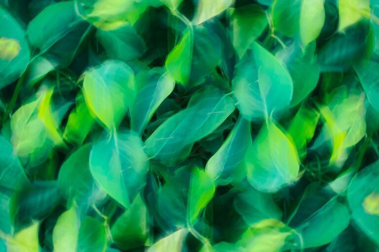 Check-up sostenibilità ed ESG