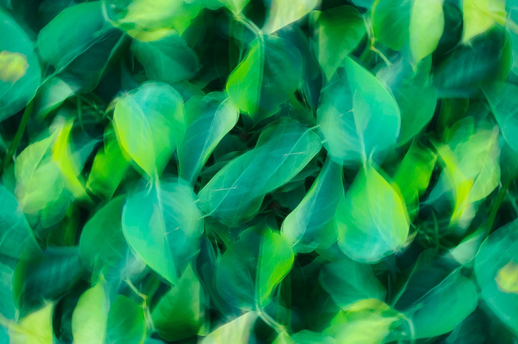 Valutazione performance ESG e sostenibilità