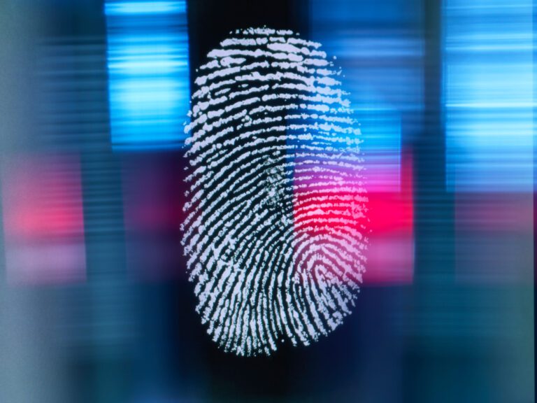 Il prezzo della “comodità” online: dati personali, consenso, libertà